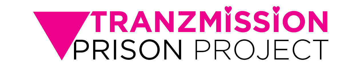 Tranzmission logo